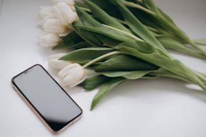 Tech-Savvy Wedding Planning Apps That Simplify Your Big Day