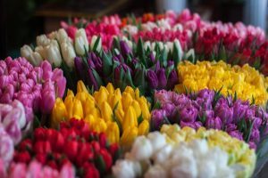 Inspiration For Choosing Your Wedding Colors