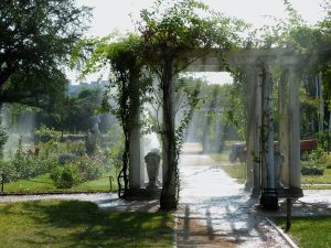 The Role Of Greenery In Wedding Decor